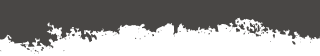 bottom-border